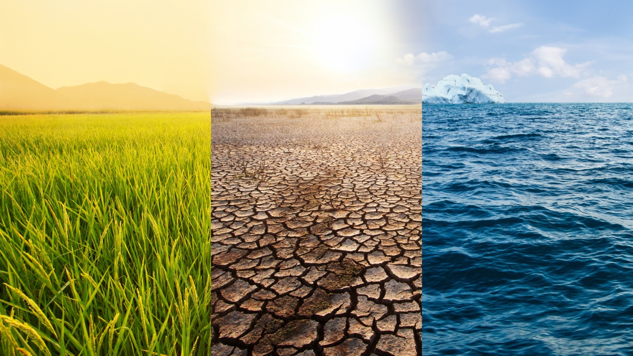 Shutterstock 2264793007