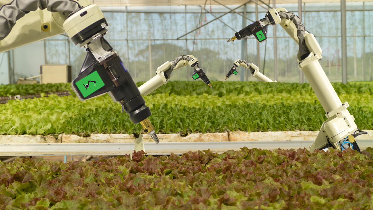 Robots in tuinbouw Shutterstock 796033369