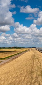 Droogte HR Shutterstock 1155002491