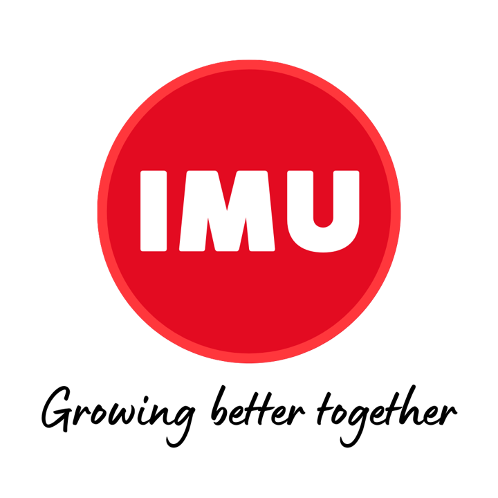 IMU