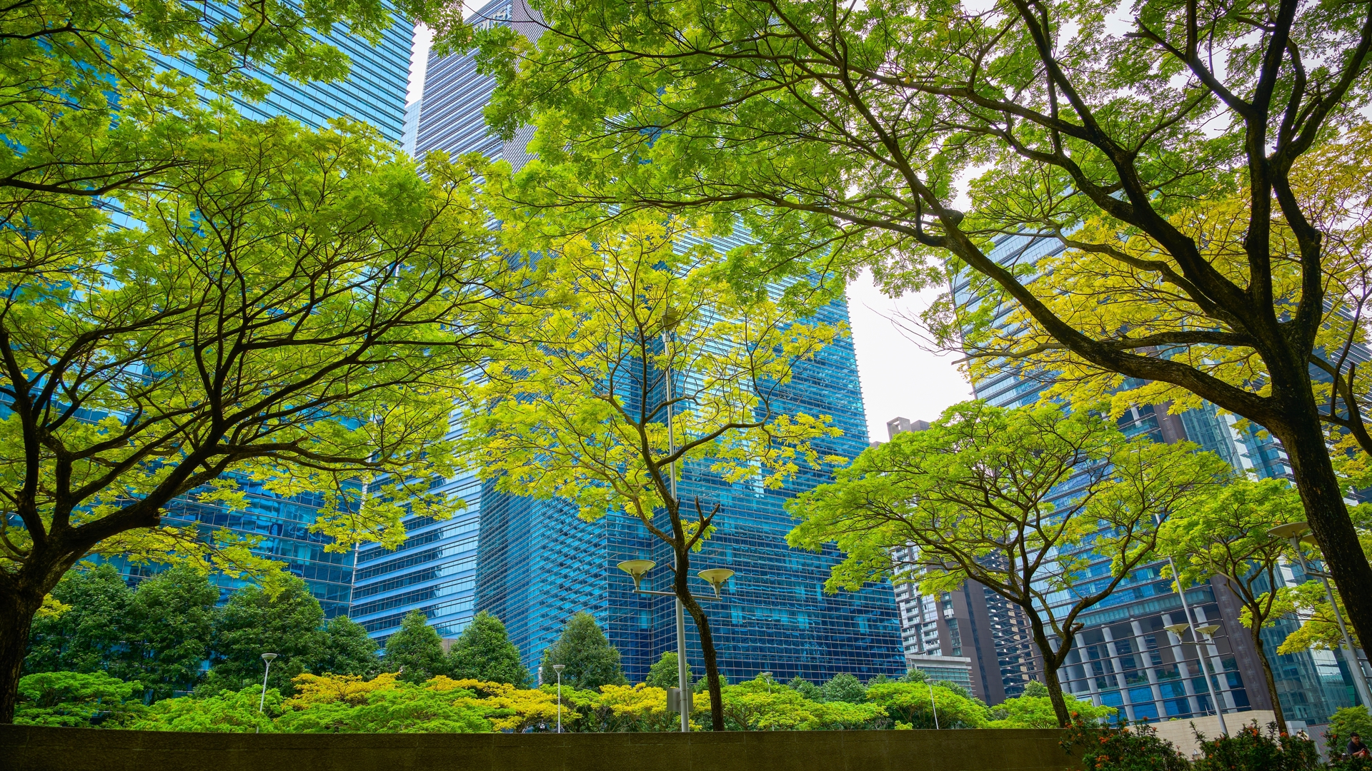 Biodiversiteit Stad