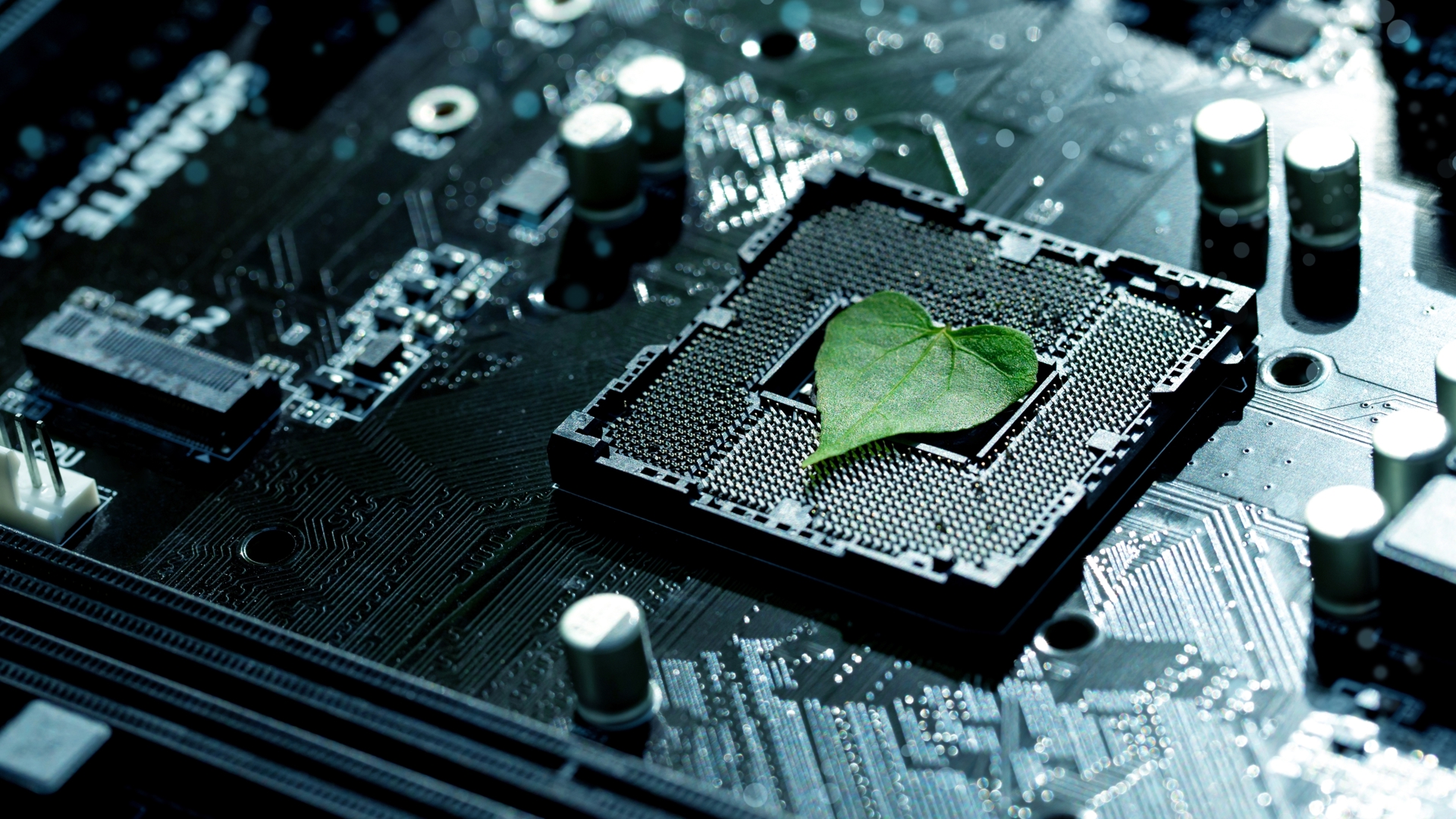 Shutterstock 2382260359