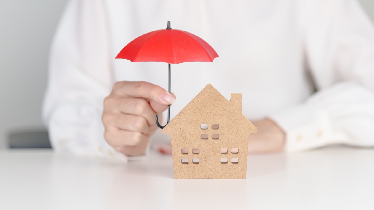 Shutterstock 2686584905