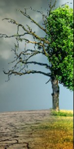 droogte wereldbol met boom (600x250).jpg (1)