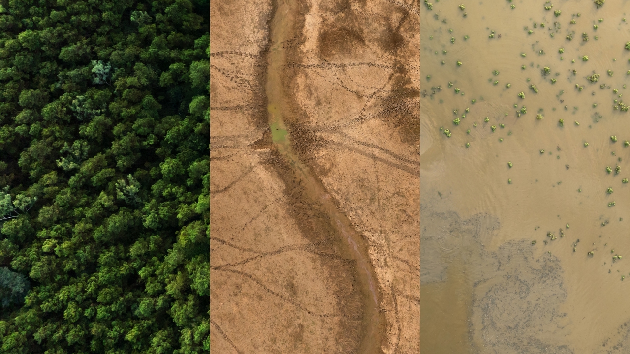 Shutterstock 2523052513