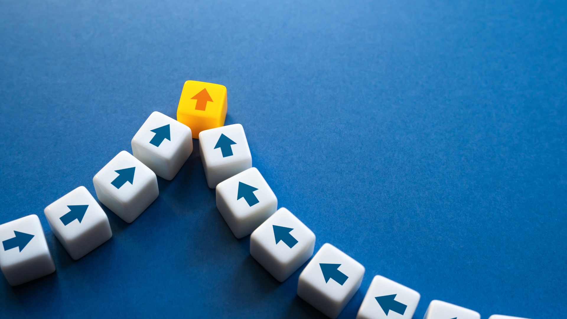 Shutterstock 2281013993 (1)