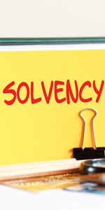 Solvency Shutterstock 1975180988