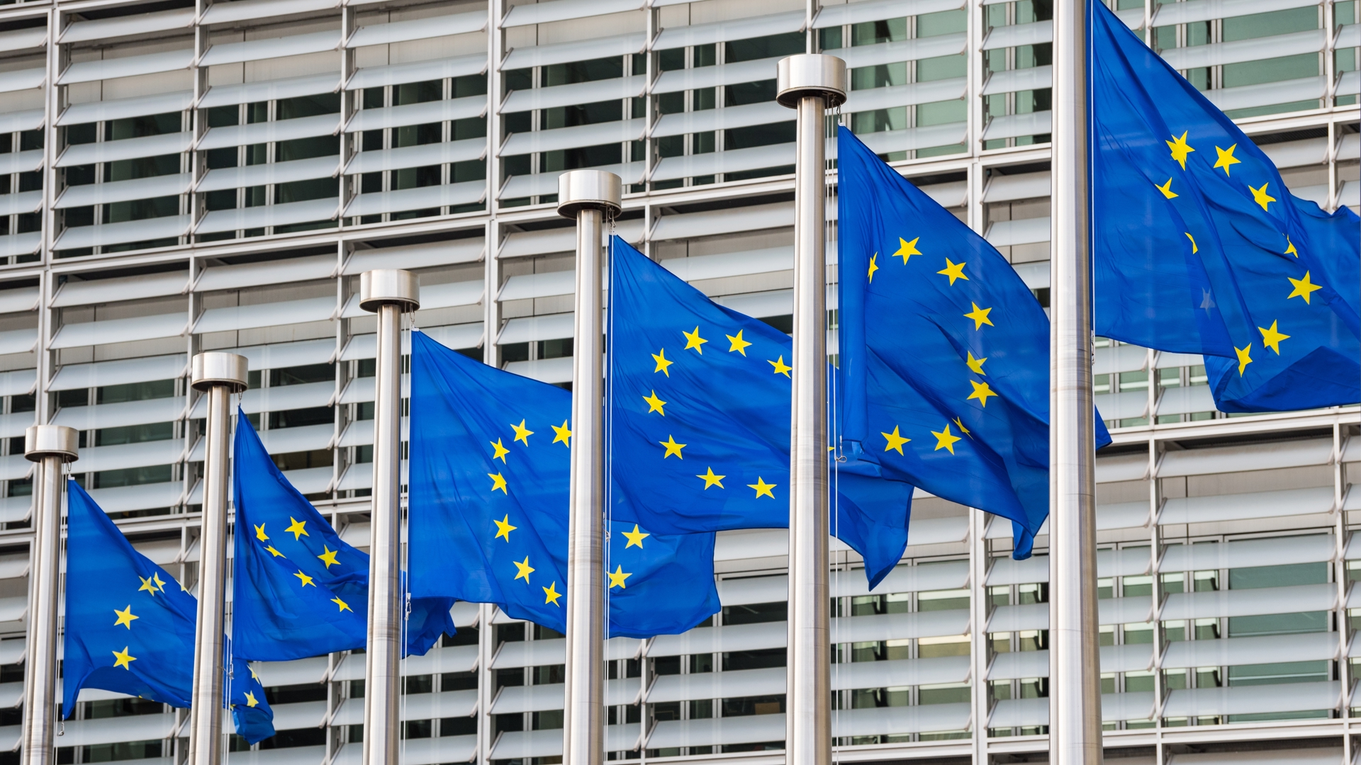 Shutterstock 2342260799