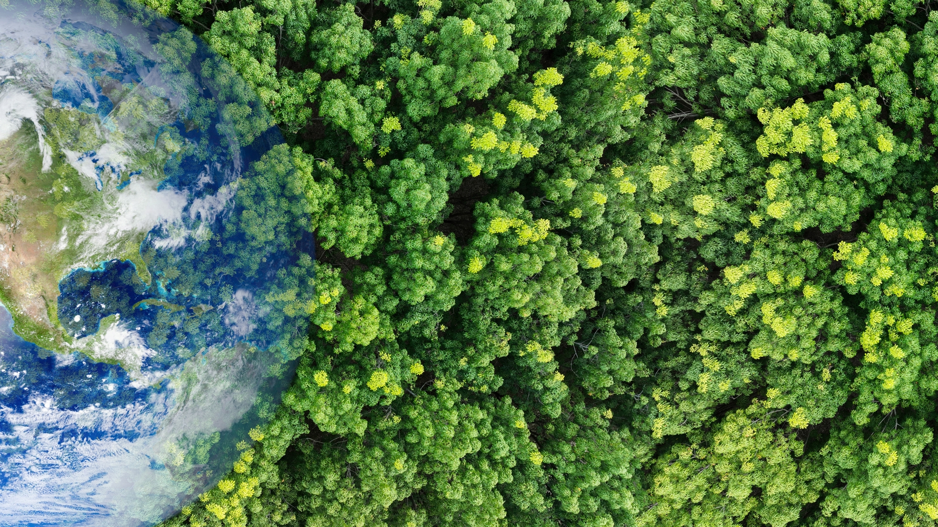 Shutterstock 2546902447